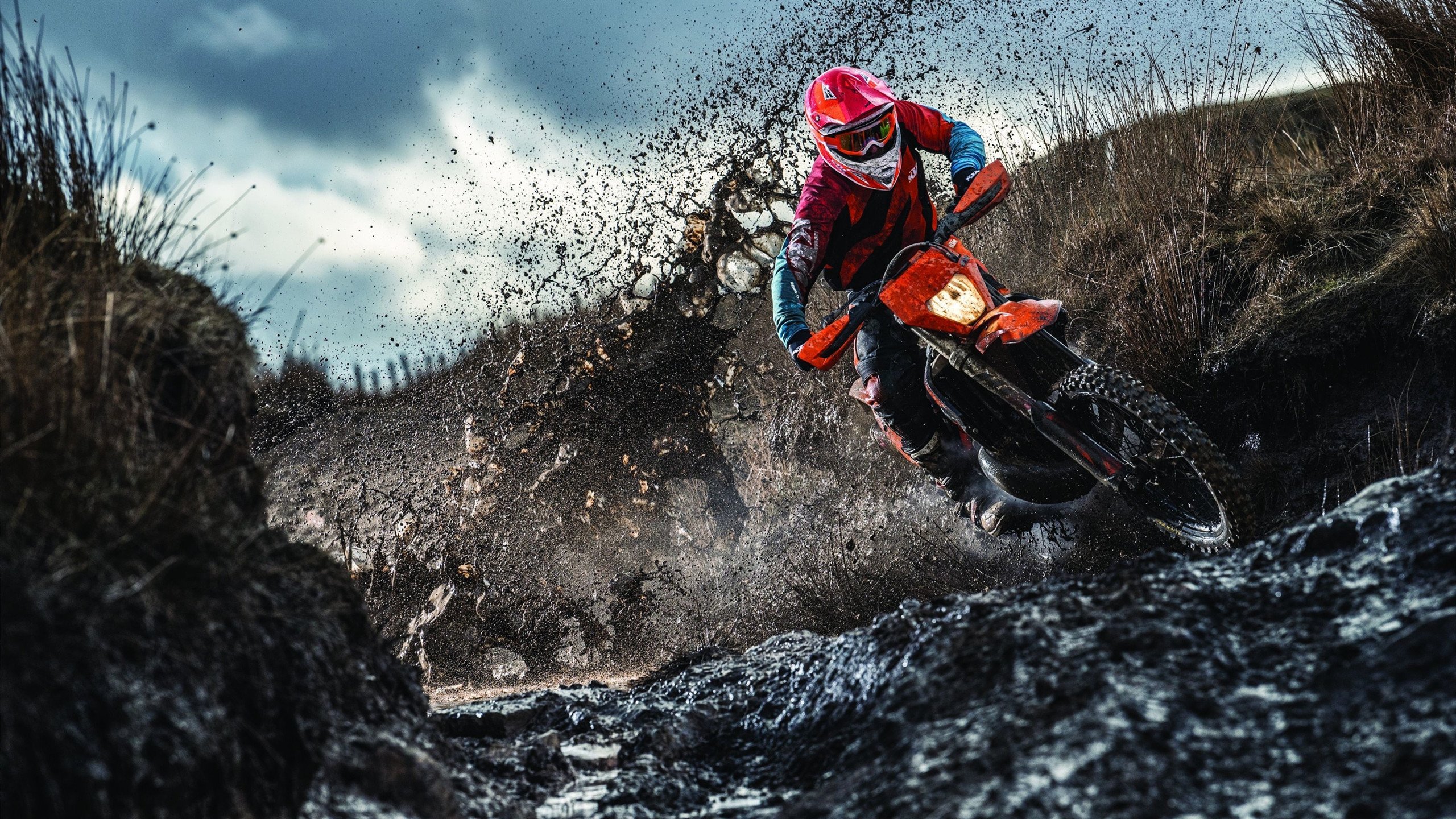 体育焦点事件引发社媒讨论,体育热点话题