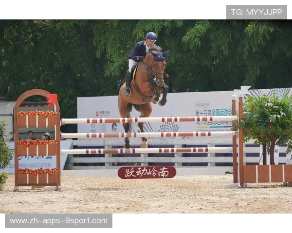 马术冠军与爱马互动视频爆红，被誉为“人马合一”典范