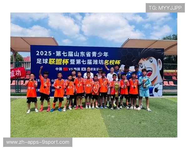 俱乐部国际青训合作项目的风险防控清单,足球青训俱乐部运营 俱乐部国际青训合作项目的风险防控清单,足球青训俱乐部运营